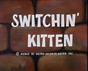 Switchin' Kitten