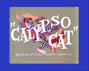 Calypso Cat