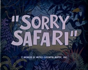 Sorry Safari