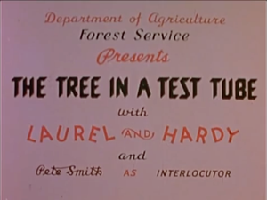 The Tree In A Test Tube