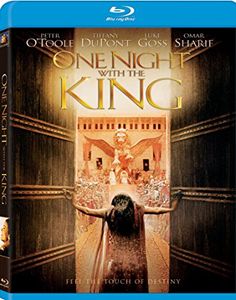 One Night With The King