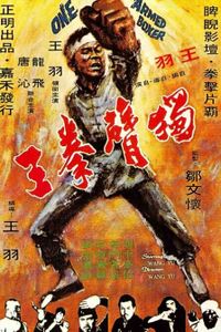 獨臂拳王