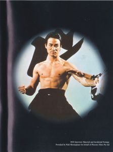 Fist Of Fury