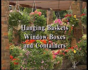 Hanging Baskets - Window Boxes & Containers
