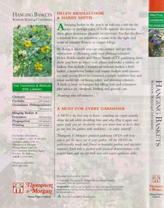 Hanging Baskets - Window Boxes & Containers