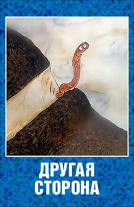 Другая Сторона
