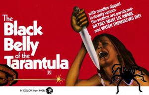 La Tarantola Dal Ventre Nero