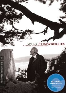 Wild Strawberries