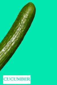 Cucumber