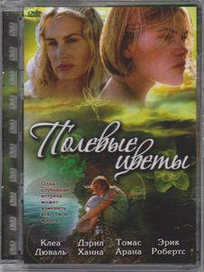 Полевые Цветы