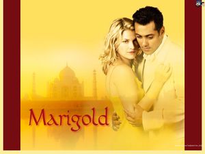 Marigold