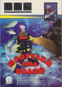 Прогулки Под Водой
