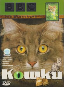 Кошки