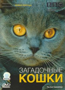 Загадочные Кошки (Коллекционное Издание)