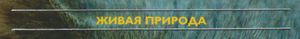 Живая Природа
