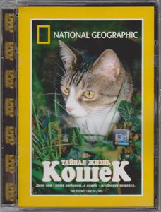 Тайная Жизнь Кошек