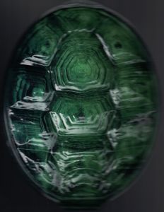 Teenage Mutant Ninja Turtles: Out of the Shadows