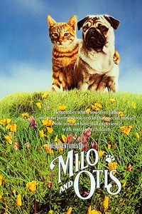 子猫物語