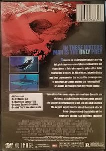 Raging Sharks