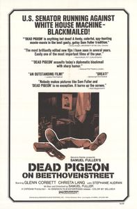 Dead Pigeon On Beethoven Street