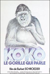 Koko, Le Gorille Qui Parle