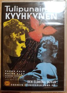 Tulipunainen kyyhkynen