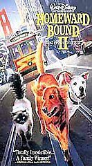 Homeward Bound II: Lost In San Francisco