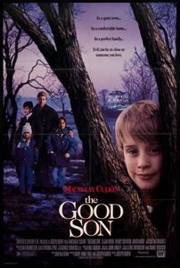 The Good Son