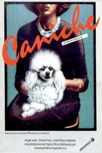 Caniche