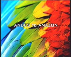Andes To Amazon