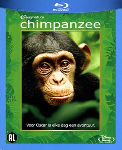 Chimpanzee