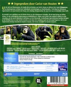 Chimpanzee