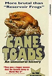 Cane Toads: An Unnatural History