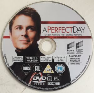 A Perfect Day