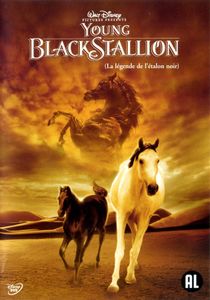Young Black Stallion