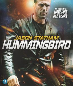 Hummingbird