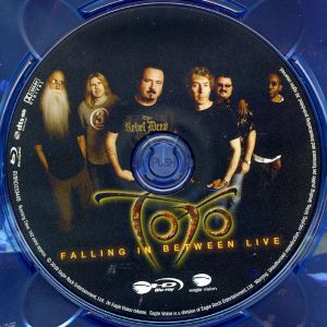 Toto: Falling in Between
