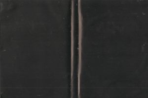 Metropolitan
