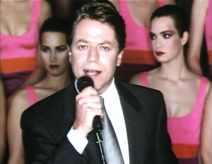 Robert Palmer: Simply Irresistable