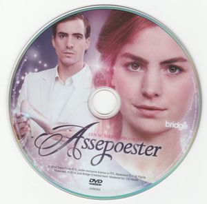 Assepoester: Een Modern Sprookje