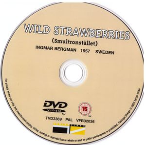 Wild Strawberries