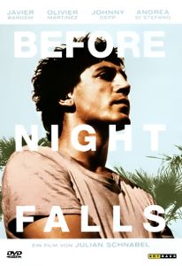 Before Night Falls