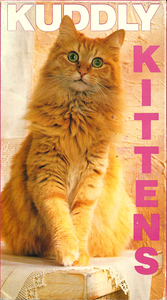 Kuddly Kittens