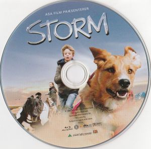 Storm