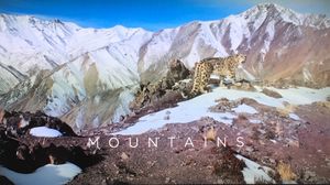 Mountains