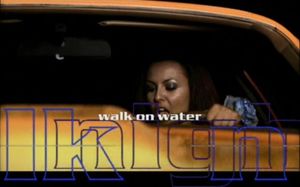 Milk Inc.: Walk On Water (German Version)