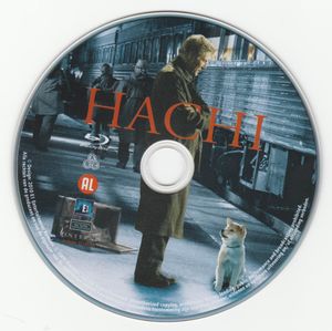 Hachi