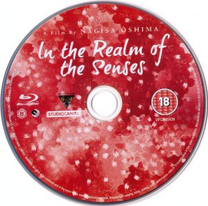 In the Realm of the Senses