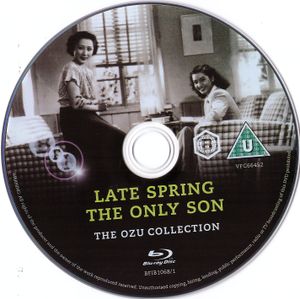 Late Spring