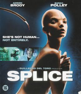 Splice